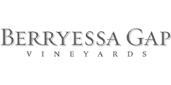 Family-owned Berryessa Gap Vineyards empowers its mobile workforce and enhances the customer experience with Microsoft 365 and Teams | Microsoft Customer Stories